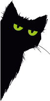 Gato curioso